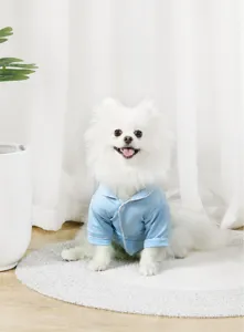 Detailansicht eines süßen kleinen Hundes mit hellblauem Revers-Haustier-Pyjama im sauberen Raum.