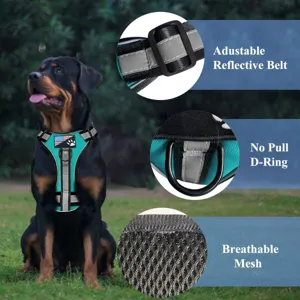 Vue détaillée du harnais tactique pour chien, résille respirante, sangles réfléchissantes.