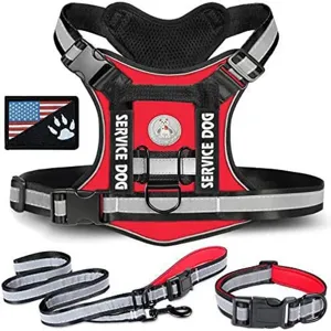 Ensemble de harnais tactique rouge pour chien avec sangles réfléchissantes laisse et collier