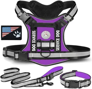 Ensemble de harnais tactique violet pour chien avec sangles réfléchissantes, laisse et collier.