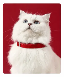 Comfortable red cat collar with adjustable metal buckle, perfect for daily wear and festive seasons.