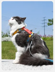 Durable escape-proof adjustable pet cat harness and leash set for outdoor walking in all seasons.