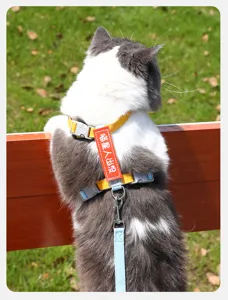 Adjustable cat harness and leash set, comfortable outdoor walking strap for pet cats.