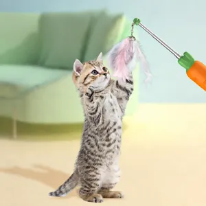 Giocattolo per gatti con manico a carota e piume per divertenti giochi interattivi.