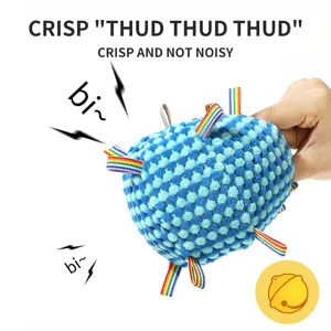 Squeaky dog chew toy ball with textured surface and colorful ribbon tags for interactive pet play.