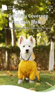 Imperméable pour chien à quatre pattes avec capuche transparente pour les jours de pluie.