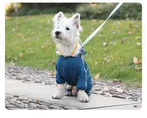 Imperméable pour chien avec capuche transparente et trou de laisse pour les jours de pluie.