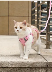 Outdoor pet cat harness detail view, breathable pink mesh vest design with matching leash.