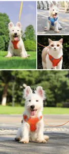 Detailed view of breathable mesh pet harness and leash set, comfortable for dogs and cats.