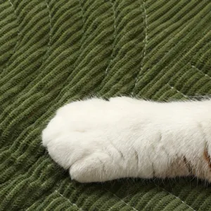 Alfombrilla para mascotas de pana verde antideslizante, duradera y cómoda para perros y gatos.