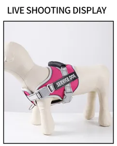 Detailed view of the pink reflective dog harness with service dog patch and sturdy D-ring.