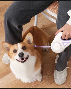 Gros plan sur une laisse pour chien retractable équipée d'un éclairage LED et d'un bouton.