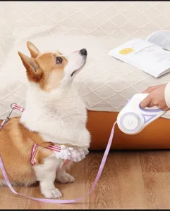 Laisse pour chien lumineuse LED rétractable avec ensemble de harnais confortable animaux.