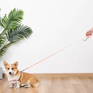 Laisse pour chien retractable LED 5M laisse automatique durable pour promenade