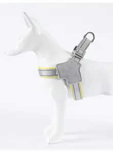 Dettaglio imbracatura per cani riflettente con fibbia resistente, anello a D e pettorina.