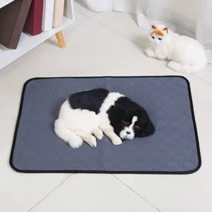 Waschbare Huisdier Plasmat Waterdicht Antislip Hond Kat Urine Mat Ademend Mesh Absorberende Huisdier Mat