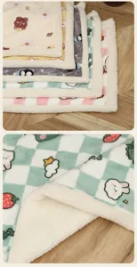 Close-up detail of double-layer thickened plush pet blanket with cute cartoon prints.