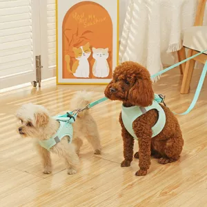 Pettorina per cani in rete traspirante con guinzaglio e strisce riflettenti per passeggiate.