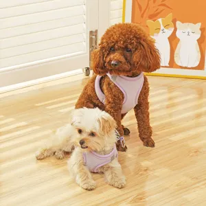 Pettorina e guinzaglio per cani in rete traspirante con strisce riflettenti per passeggiate quotidiane.