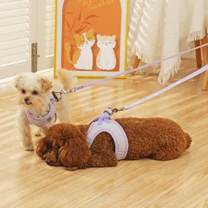 Pettorina e guinzaglio per cani in rete traspirante, design a gilet morbido con strisce riflettenti.