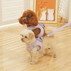 Bellissima imbracatura per cani in rete traspirante con guinzaglio riflettente dettaglio.