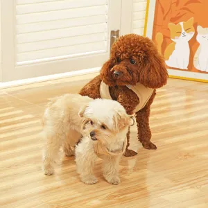 Dettaglio della comoda pettorina per cani in rete traspirante ideale per l'estate.