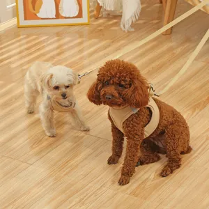 Pettorina per cani in rete traspirante con guinzaglio e strisce riflettenti, ideale per primavera.