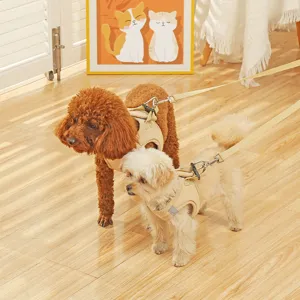 Imbracatura per cani in rete traspirante con guinzaglio, comodo gilet beige per passeggiate.
