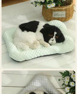 Sommer Haustier Kühlmatte atmungsaktive Eisseide Matte mit plüschigem schlafenden Hund Katze.