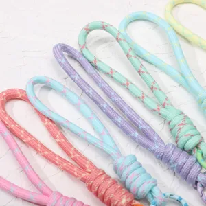 Kleurrijke gevlochten sleutelhanger koord DIY handgemaakte touw tas charm weergave op wit