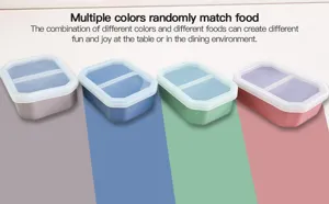 Silicone 2-compartment lunch box detail, microwave safe square meal container with clear lid.