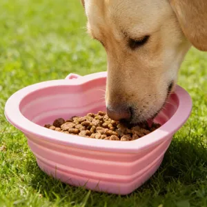 Bol pliable en silicone rose pour animal, gamelle de voyage portable pour chien et chat.