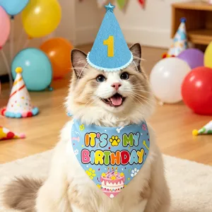 Schattige kat verjaardag hoed en bandana set met nummer 1 en taart ontwerp voor huisdier feest.