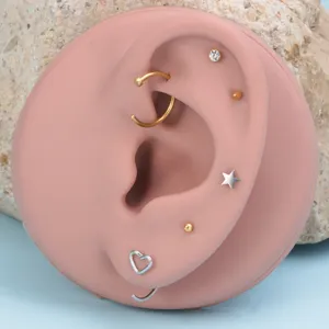 Edelstahl Nasenring Set Körperpiercing Schmuck mit Gold und Silber Herz und Stern Design.