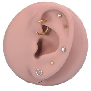 Edelstahl Körperpiercing Schmuck Set Ohrstecker Nasenringe Reifen Stern Herz Form Hauptansicht
