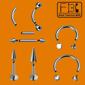 G23 Titan Piercing Schmuck Set Gebogene Hantel Hufeisen Ring Labret Steckers Set.