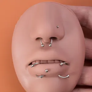 Titanium Piercing Schmuck Set mit Hufeisenringen und Labret Stecker für den täglichen Gebrauch.