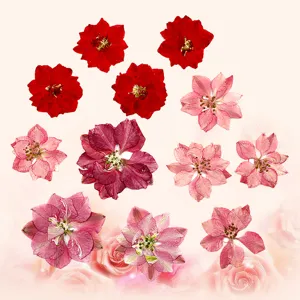 Natural Pressed Dried Flowers DIY Craft Materials Real Flower Petals For Resin Phone Case Jewelry Making Plant Decors
