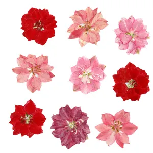 Detailed view of colorful pressed dried delphinium flowers for DIY resin crafts and art.