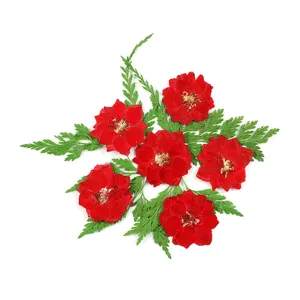 Red pressed dried delphinium flowers and green leaves for DIY resin phone case crafts.
