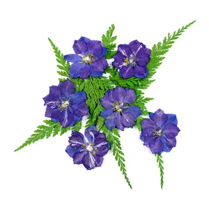 Close-up detail of natural pressed blue larkspur and fern leaves for DIY crafts resin phone case.