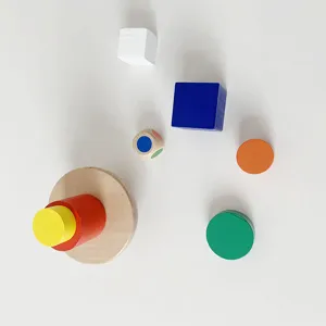 Wooden educational toy parts detail, colorful geometric blocks and wooden disc for kids.