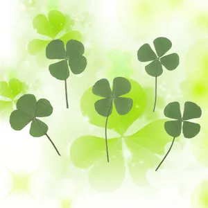 Natural four-leaf clover dried flower specimens for handmade DIY phone cases and resin crafts.