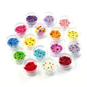Flores secas prensadas coloridas en tarros para arte de uñas, manualidades de resina y fundas DIY.
