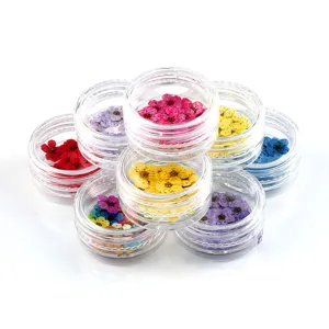 Flores secas prensadas coloridas en tarros transparentes para nail art y manualidades DIY.
