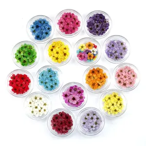 Flores secas coloridas para decoración de uñas, manualidades en resina y fundas de teléfono.