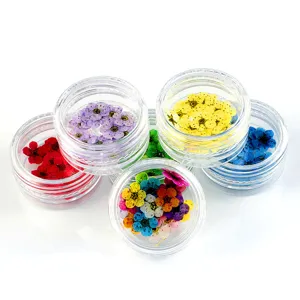 Flores secas prensadas coloridas en tarros para nail art resina funda de móvil DIY.