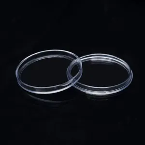 Clear plastic coin capsule detail view, protective round container holder for collection.