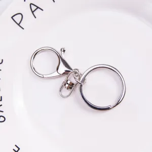 Gedetailleerd overzicht van de zilveren metalen sleutelhanger met karabijnhaak en ring.