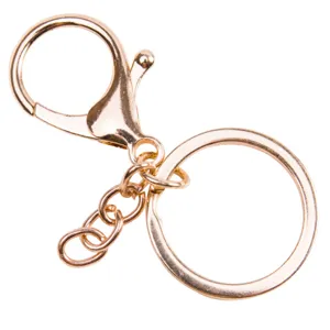 Gouden metalen sleutelhanger hardware set met karabijnhaak ring voor doe het zelf